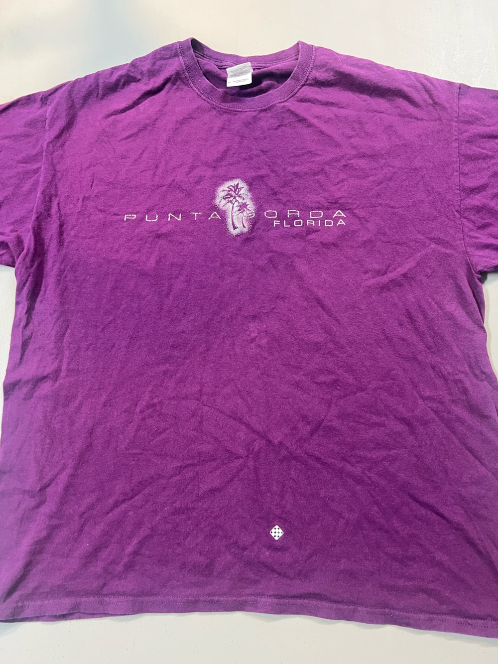 Punta Gorda Florida Purple Graphic T Shirt Palm Tree Gildan Heavy Cotton XL